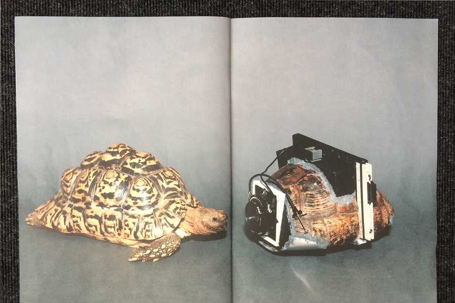 Abbildung aus der Publikation der Künstler Taiyo Onorato & Nico Krebs, auf denen sich ein zum Kamera umgebauter Schildkrötenpanzer und eine Schildkröte anblicken